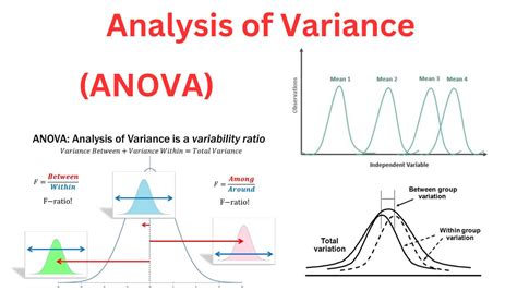 Image result for Anova Source of Variation