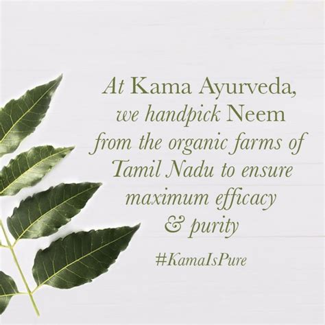 Cleanse Shield Heal - Summer Skin Care Tips By Kama - Kama Ayurveda