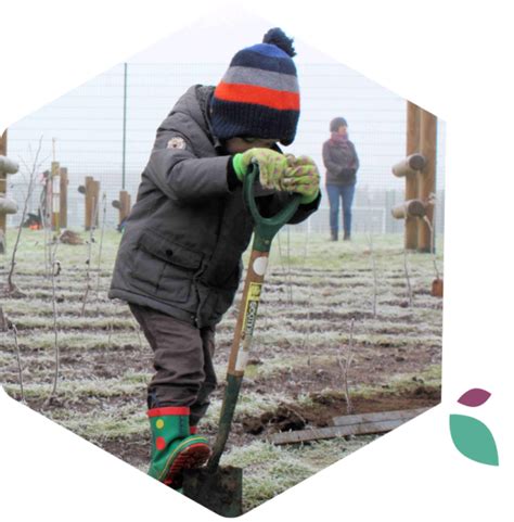 Image result for Tree-Planting Project for School