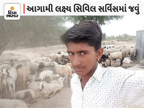 Preparation Continued Even While Grazing Cattle, Studying 12 Hours A ...