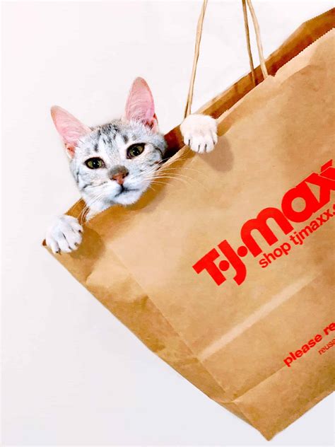 TJ Maxx vs Marshalls (Quality, Price, Items, And More) - AnswerBarn