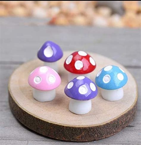 Bloom Bagicha Miniature Mushrooms for Tray Gardening/Fairy Garden ...