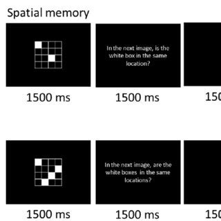 Image result for Visual Spatial Memory Tasks