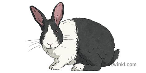 What is a Syllable In English? | Syllable Definition