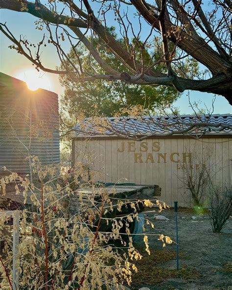 Jess Ranch Fishing Lakes (@jessranchlakes) • Instagram photos and videos