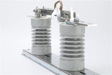 Image result for Raspberry Isolation Switch