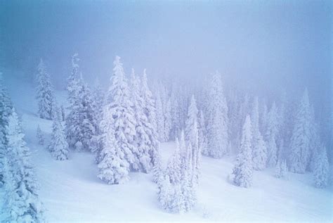 Steamboat Springs Avalanche: A Reminder to Prioritize Mountain Safety