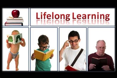 Life Time Learning Process 的图像结果