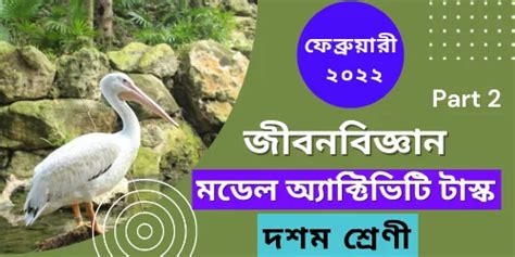 Class 10 Model Activity Task Part 8 Life Science 的图像结果