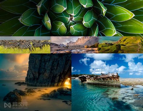 Bing壁纸下载 的图像结果