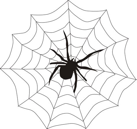 Over 200 Free Spider Vectors - Pixabay