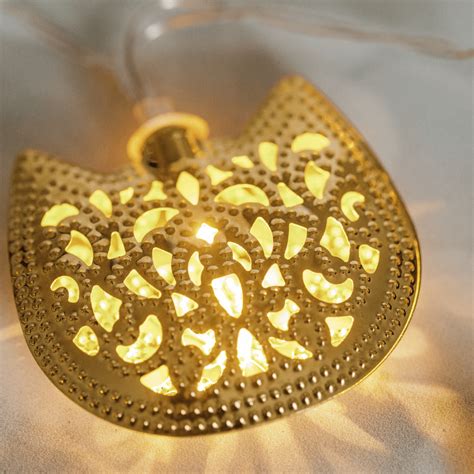 Kuvatulokset haulle cat string shell