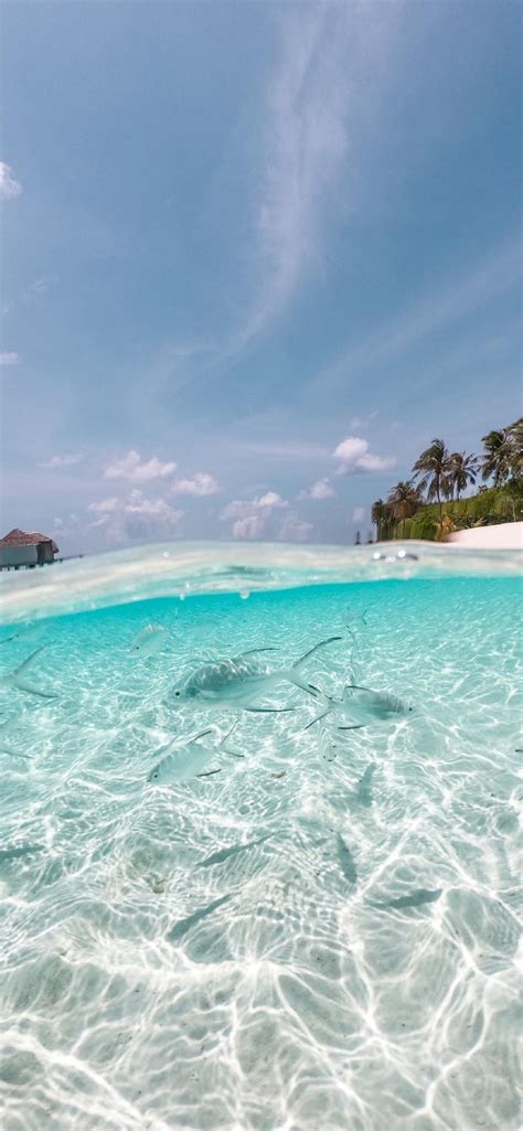 清澈唯美的蔚蓝色大海自然风景手机壁纸图片 | 犀牛图片网