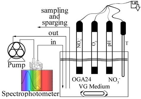 Nitrate Removal from Wastewater through Biological Denitrification with ...