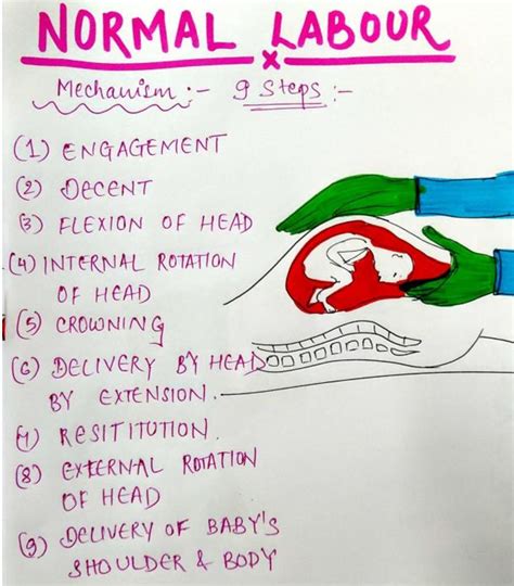 Image result for Normal Labour Duration