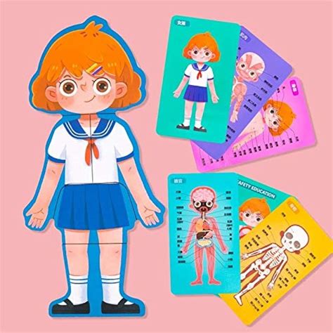 SN Toy Zone Wooden Human Body Structure/Parts Puzzle Toy Set for Kids ...