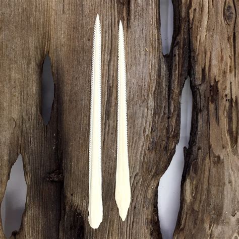 Specimen Stingray Barbs 5 5.25 Set of 2 - Etsy