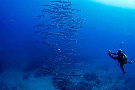 DIVEIndia Scuba Diving Training Bangalore | LBB, Bangalore