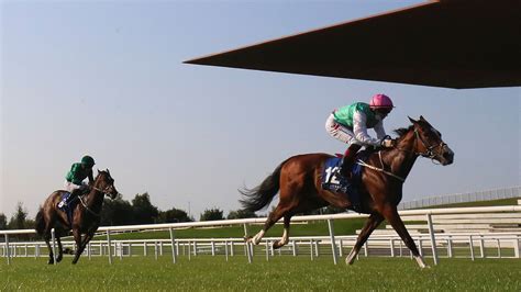 Sacred Bridge will start in Guineas trial next season | Racing News ...