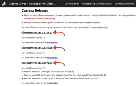 How to Install Chrome Driver for Selenium in Java 的图像结果