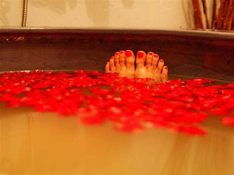 Angsana Spa, Bangalore - Get Angsana Spa Hotel Reviews on TimesTravel