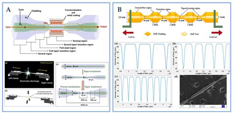 Novel Optical Fiber-Based Structures for Plasmonics Sensors