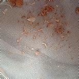 THREPTIN Diskettes Protein Biscuit High-Calorie Supplement Forfeited ...