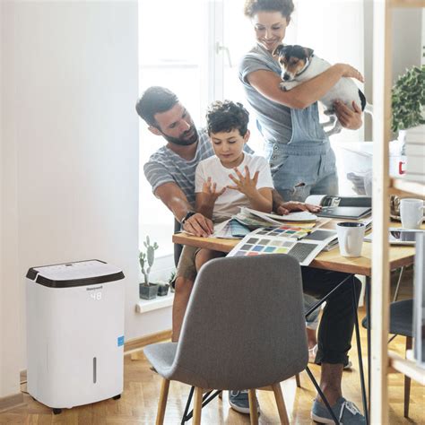 The Hidden Benefits of Using a Dehumidifier in Summer | Stay Cool ...