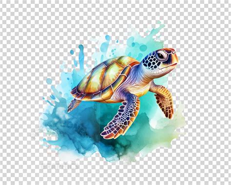 Clipart Sea Turtle