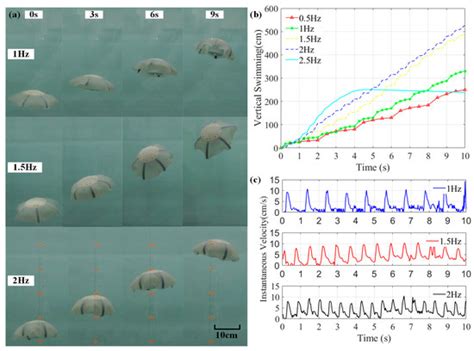 Design, Modeling, and Control of an Aurelia-Inspired Robot Based on SMA ...