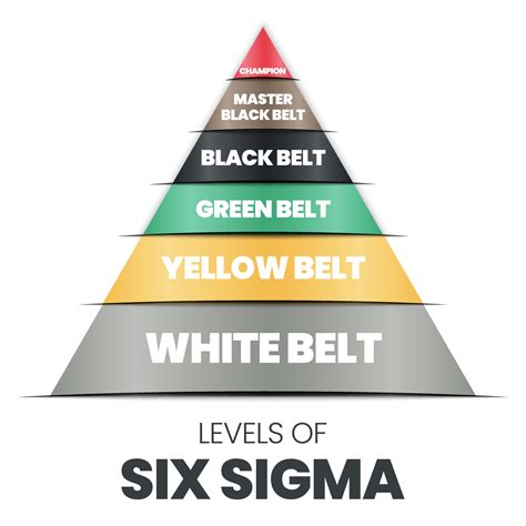 Different Types Of Belts In Six Sigma at Alma Jones blog