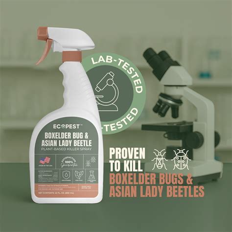 Boxelder Bug & Asian Lady Beetle Spray – Natural, Plant-Based Spray wi