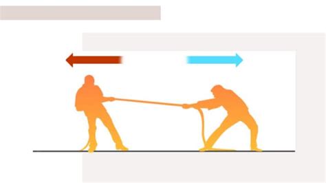 Force Types 的图像结果