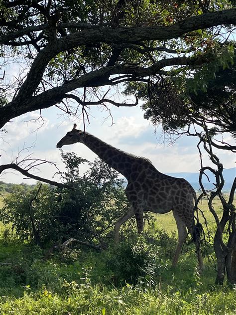 ENTABENI SAFARI CONSERVANCY (Entabeni Game Reserve) - Ranch Reviews ...