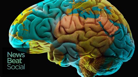 Bildergebnis für brain biotechnology