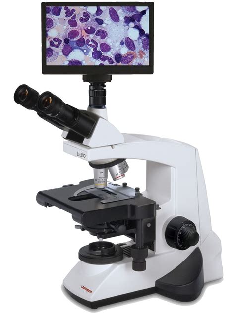 Image result for Phase Contrast Microscope