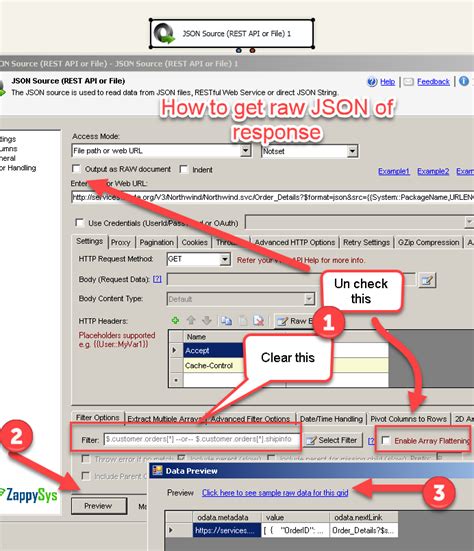 SSIS JSON Primitive Error 的图像结果