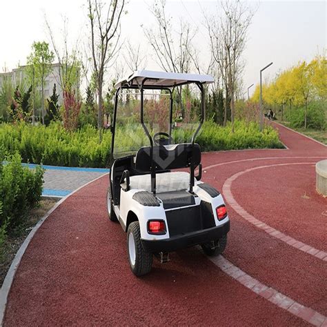 Ulela Largest Golf Cart Manufacturers Gear-Driven Golf Carts 2 ...