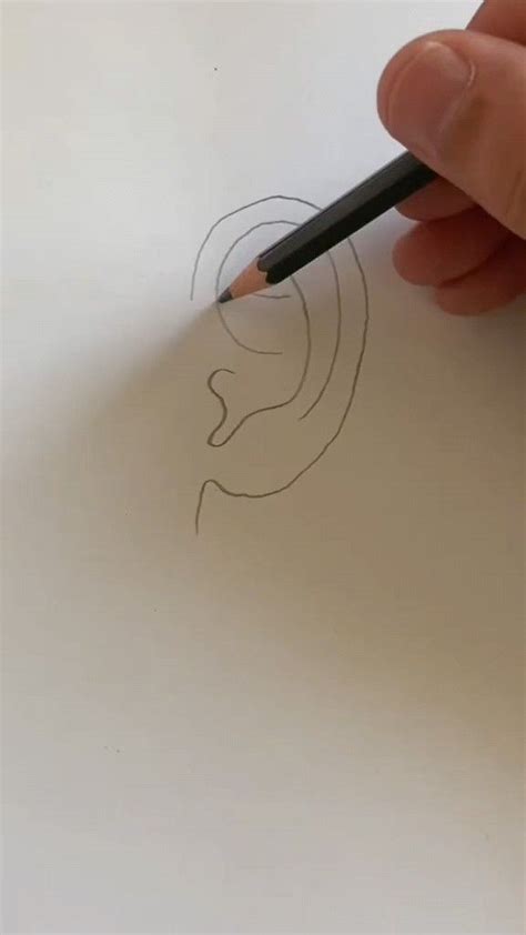 Image result for Ear Drawing Tutorial
