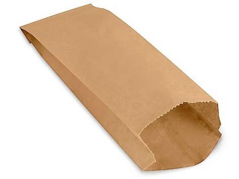 Paper Bag - Brown Kraft Paper Gift Bag Manufacturer from Sas Nagar
