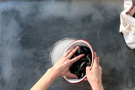 Washing Mussels 的图像结果