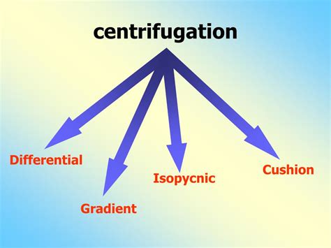 Virus Purification Process 的图像结果