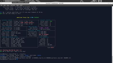 Rezultat imagine pentru Fuzzing Exploit