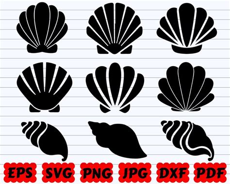 Image result for SeaShell SVG