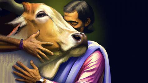 Animal Welfare Board withdraws appeal to celebrate February 14 as ‘Cow ...