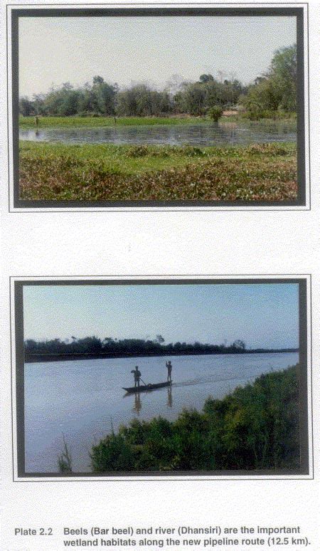 Methodology | Wildlife Institute of India, an Autonomous Institute of ...