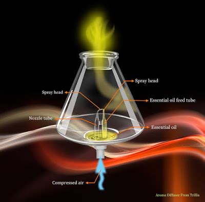 Image result for How Do Essential Oils Diffusers Work
