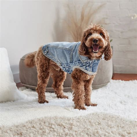 Denim Dog Jacket | Exclusively large dog coats – Pit Bull Outfitters