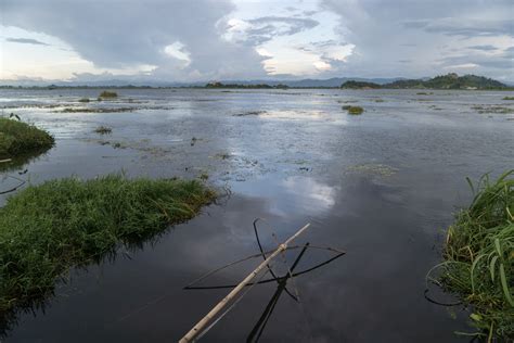 Manipur is losing native species of fish. Ithai barrage, pollution ...