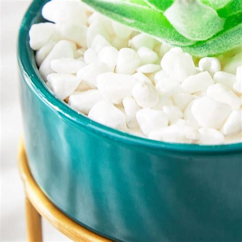 Buy Fiesta Artificial Plant in Ceramic Pot from Home Centre at just INR ...